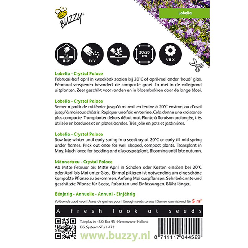 Buzzy® Lobelia Crystal Palace